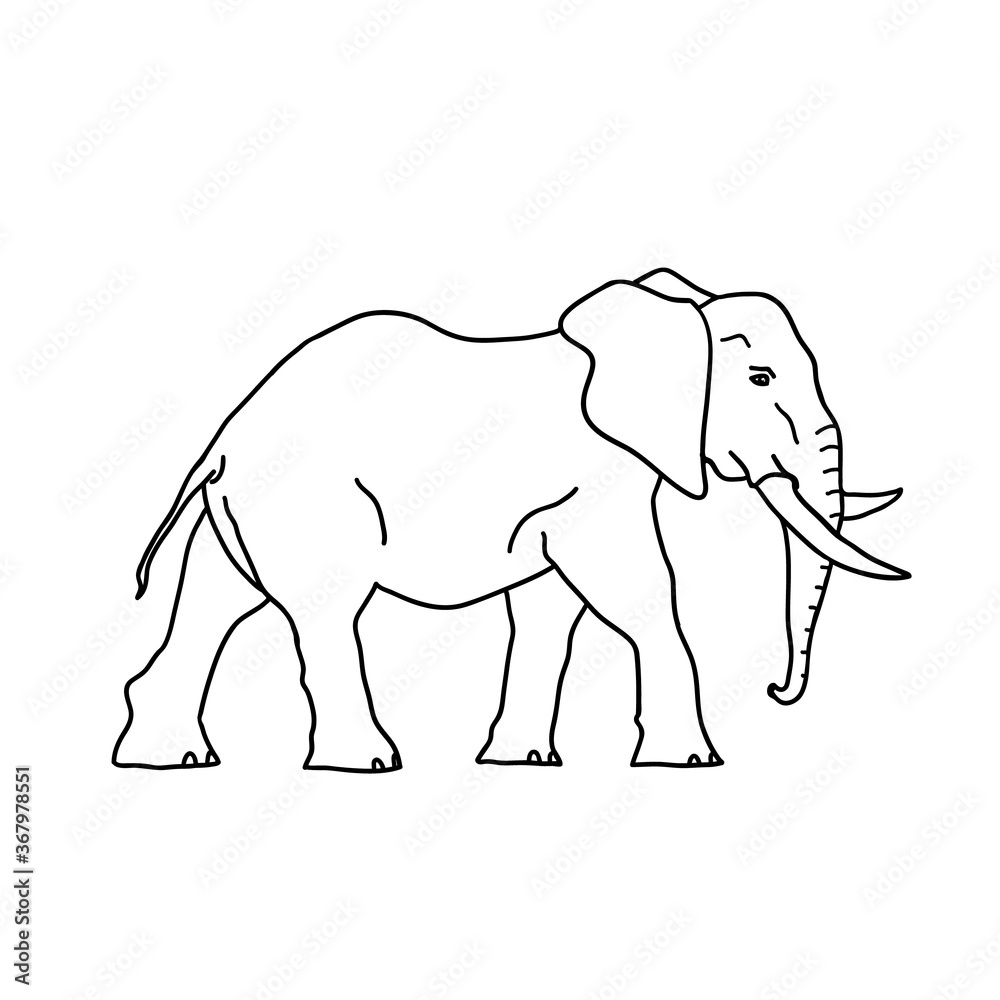 Naklejka premium Elephant line vector logo Safari animal drawing.
