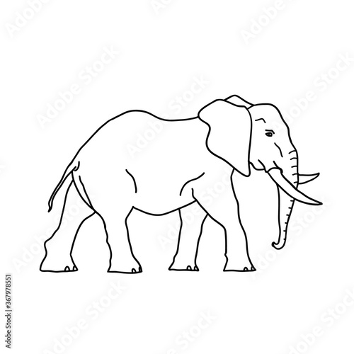 Elephant line vector logo Safari animal drawing.
