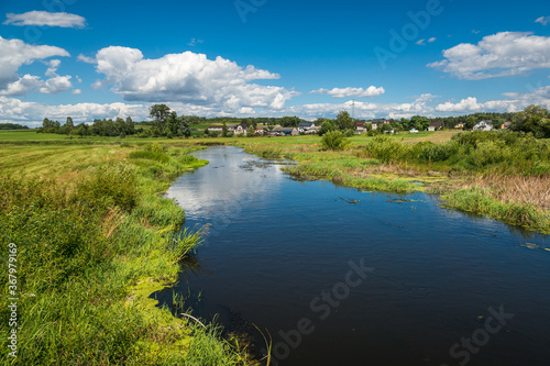 View on the Liwiec river at sunny day  near Mokobody, Masovia, Poland