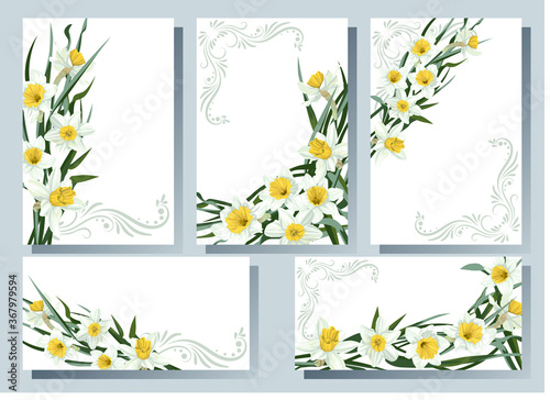 Set of templates for cards  flyers  invitation with flowers white narcissus.