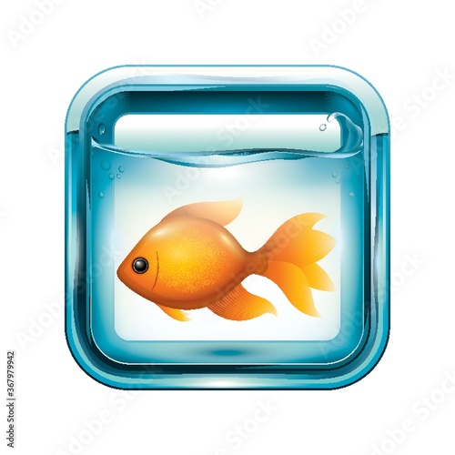 goldfish in an aquarium
