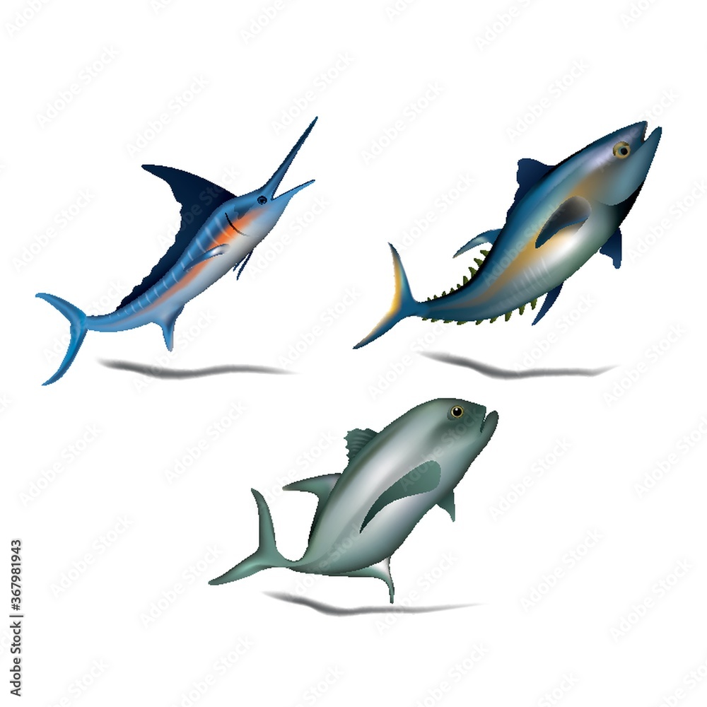 Obraz premium set of fishes