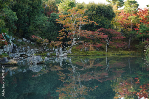 Beautiful reflection of autumn leaves in Japanes pond garden