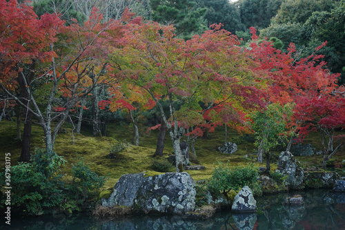 Autumn leaves in zen Japanes Garden