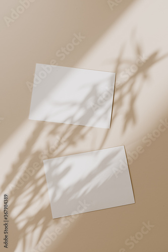 Canvastavla Blank paper sheet cards with mockup copy space with sunlight shadow on beige background