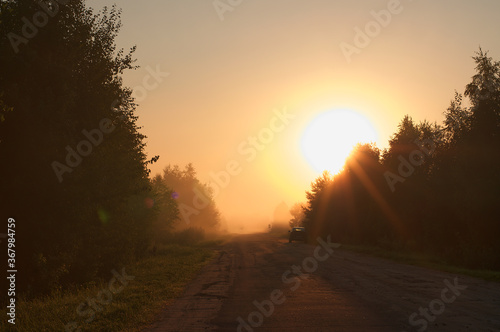 sunset in the forest