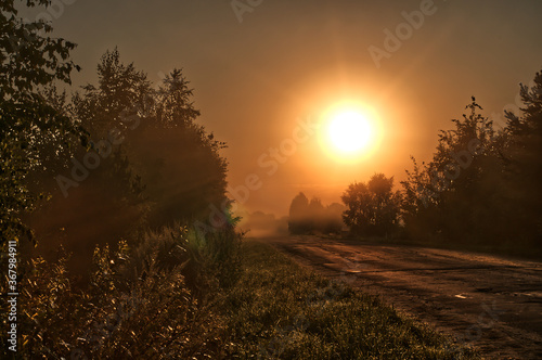 sunrise in the field
