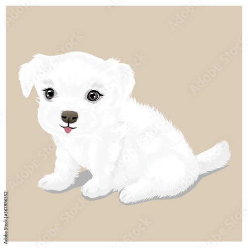 cute puppy