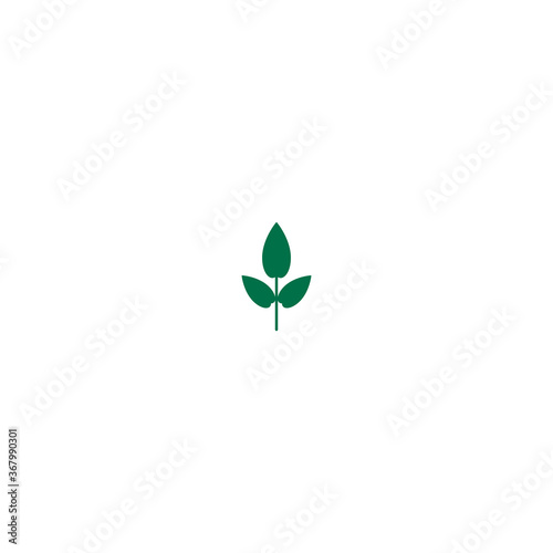 Green basil twig  shoot  sprig. Icon Isolated on white. Logo for eco company