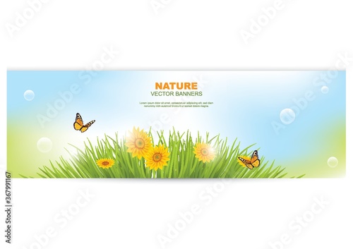 nature banner with sunflower