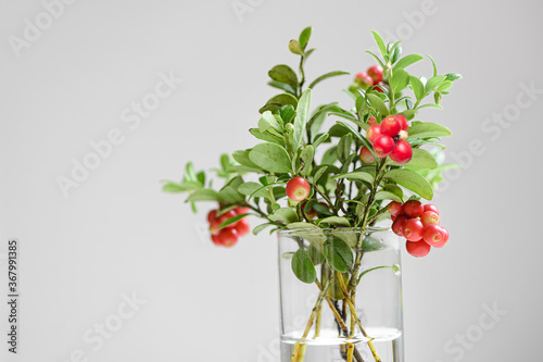 Fotografi Bouquet of lingonberry with red fruits on a white background