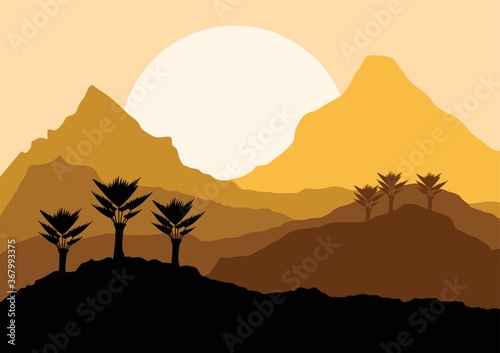 desert landscape