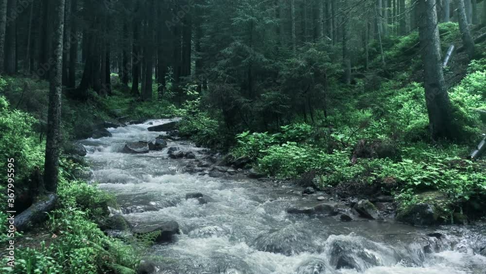 Mountain river with low rapids flows inside mysterious forest. Aerial. Mountain river with low rapids flows inside mysterious forest. Aerial.