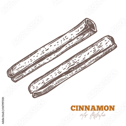 Isolated cinnamon sticks on white. Spices and herbs vector illustration. Hand drawn sketch