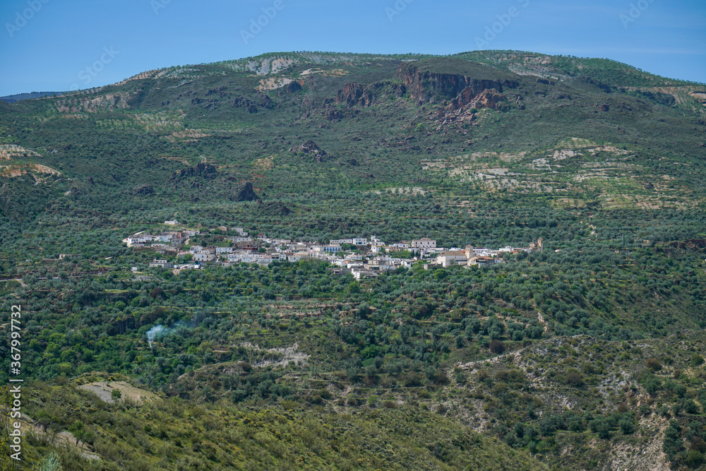 Fototapeta premium village on the mountainside surrounded by olive trees