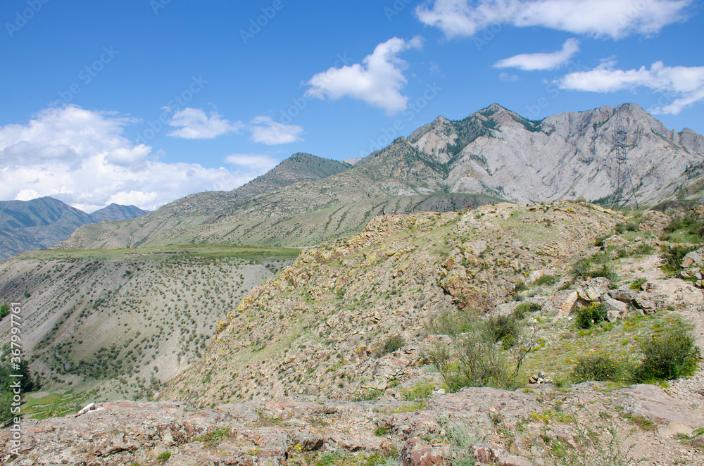 Landscape of Altai mountains in Russia with forest and plants
Landscape of Altai mountains in Russia with forest and plants