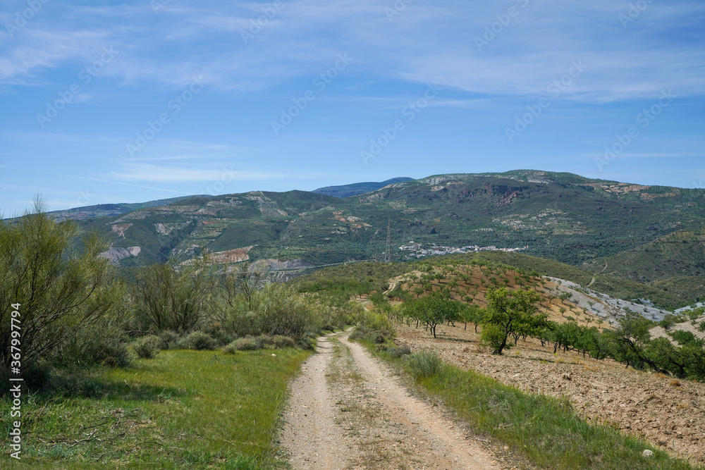 road in the mountains and among vegetation