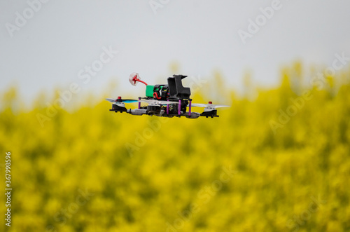 Racing drone flying over a field of yellow oil flowers