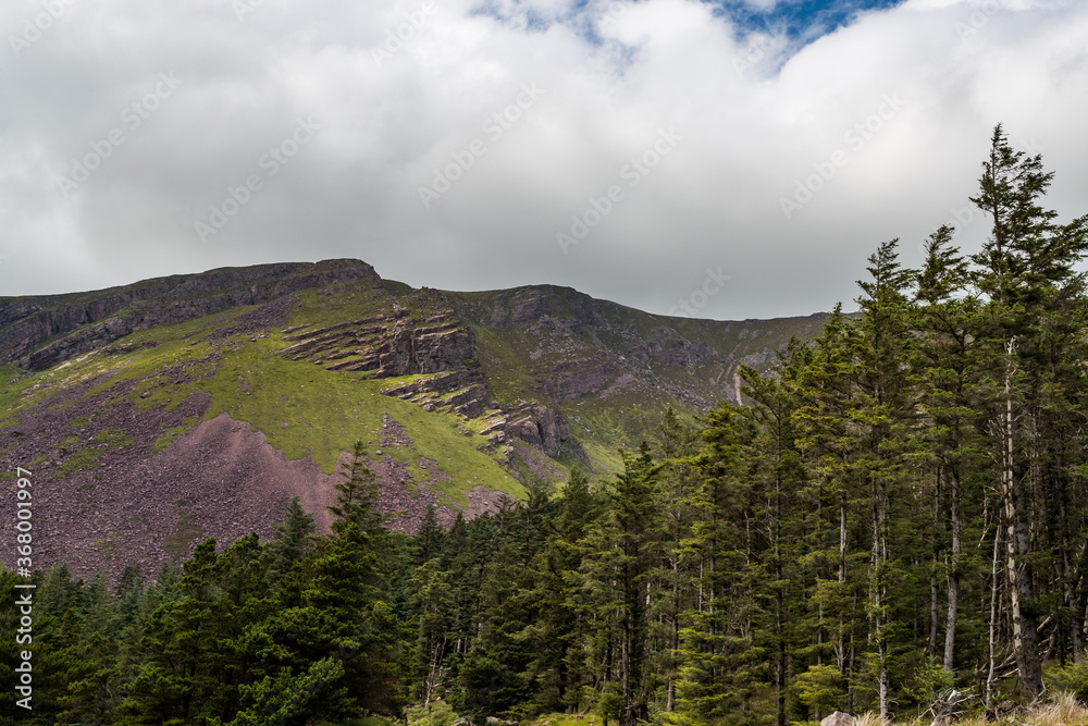 Scenic mountains of glentanassig woods in the Dingle Peninsula, County Kerry, Ireland Scenic mountains of glentanassig woods in the Dingle Peninsula, County Kerry, Ireland