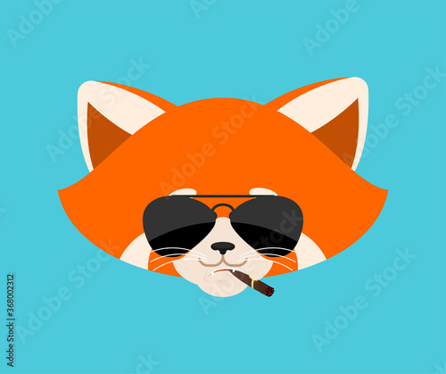 Red panda smoking cigar emoji. Wild animal Cool serious avatar of emotions. Beast strict. Vector illustration