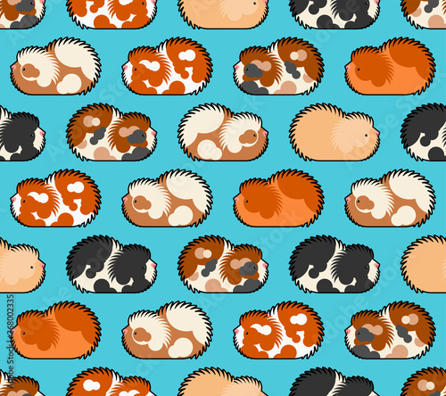 Cavy pattern seamless. guinea pig background. Baby fabric texture