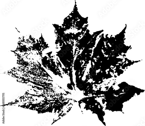 Leaf brush. Black ink decal maple leaf. Suitable for use as a brush.