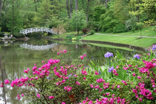 Photos Duke Garden at Spring time, durham,nc