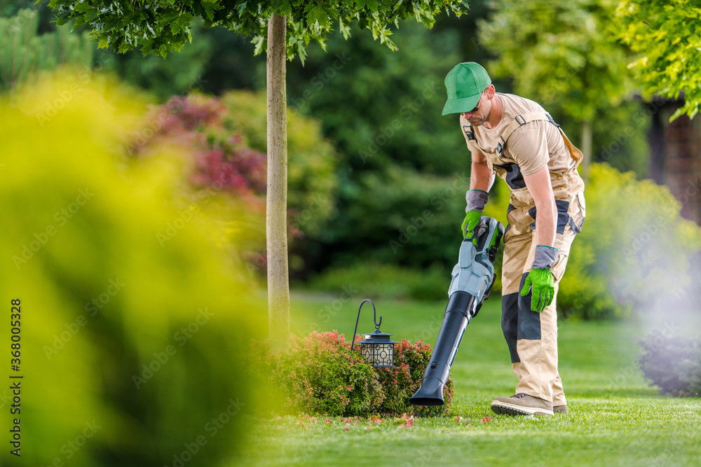 Gardener with Cordless Leaf Blower Cleaning Backyard Garden - obrazy, fototapety, plakaty 