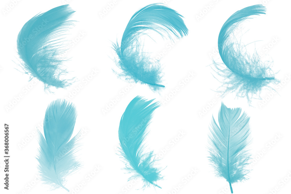Beautiful collection green turquoise colors tone feather isolated on white background Beautiful collection green turquoise colors tone feather isolated on white background