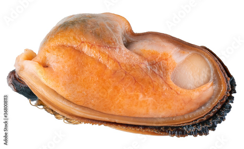 Fotografie Mussel without shell isolated on white background