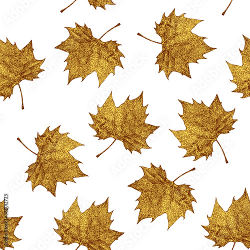 autumn leaves isolated on white