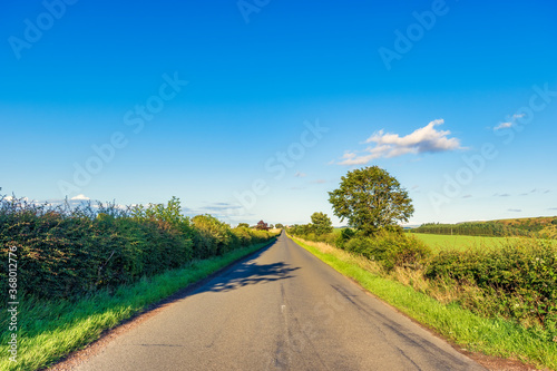 Scotland, East Lothian, road with hedgerows