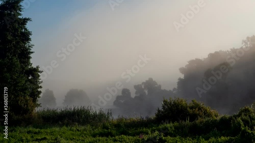 timelapse fog dissipates in the sun