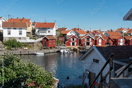 Summer at Gullholmen in Sweden photo