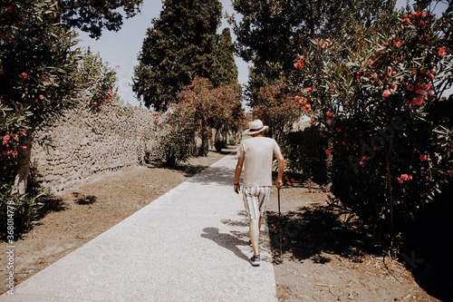Alter Mann mit Hut und Stock spaziert durch Baumallee aus Oleander in Pompeji photo
