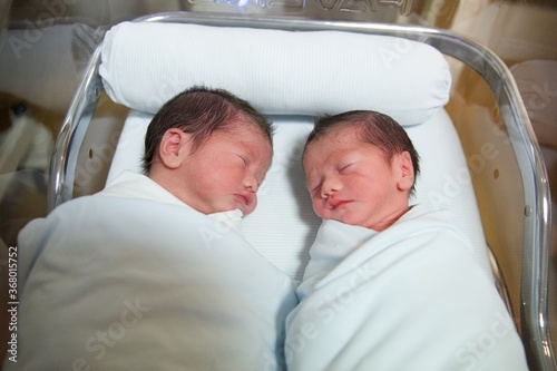 New born twin babies boy.