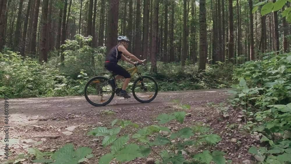 Pedaling uphill in the forest. Woman on bike fitness concept Pedaling uphill in the forest. Woman on bike fitness concept