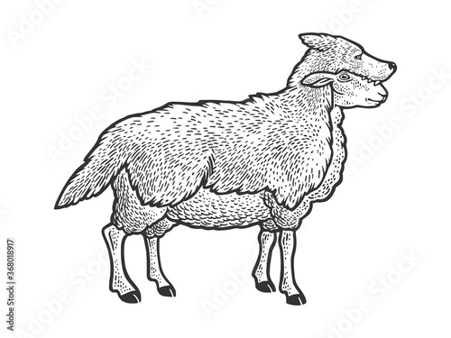 Sheep in wolf clothing sketch engraving vector illustration. T-shirt apparel print design. Scratch board style imitation. Black and white hand drawn image.