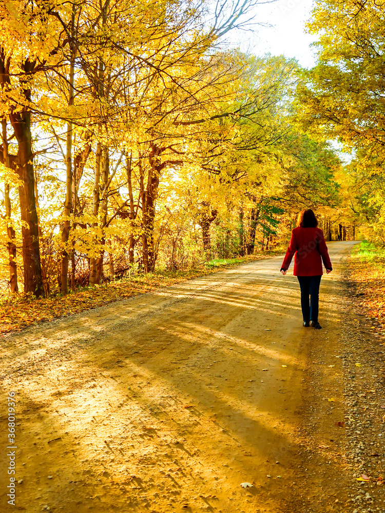 Fototapeta premium Woman In Red Walking A Golden Road