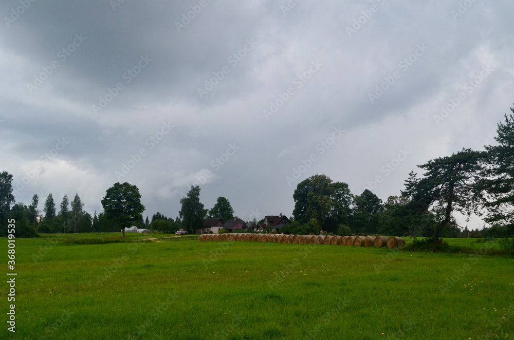 Panoramic landscape of hay rolls on a meadow against blue sky with clouds Panoramic landscape of hay rolls on a meadow against blue sky with clouds
