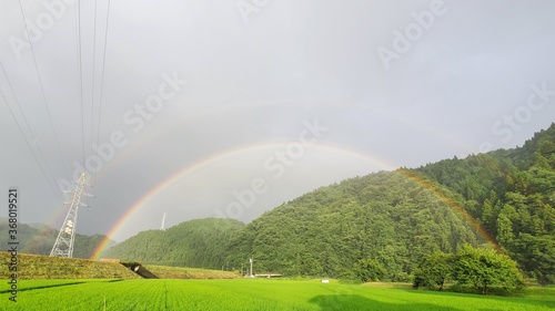 rainbow over the field