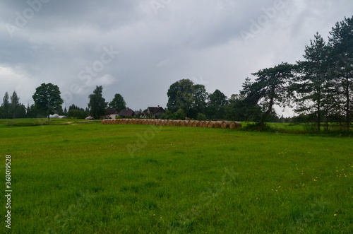 Panoramic landscape of hay rolls on a meadow against blue sky with clouds