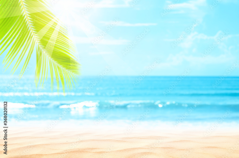 Fototapeta premium Blur beautiful nature green palm leaf on tropical beach with bokeh sun light wave abstract background.
