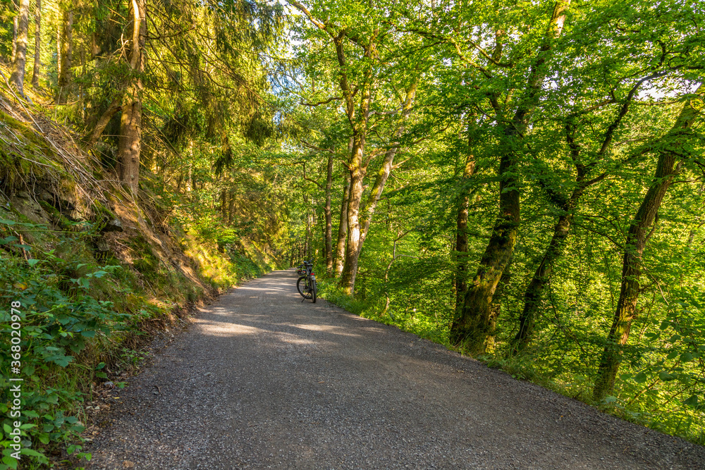 Fototapeta premium Radweg in der Eifel in der Nähe von Monschau.