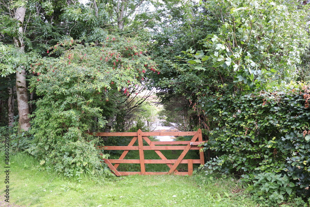 Obraz premium gate in the forest