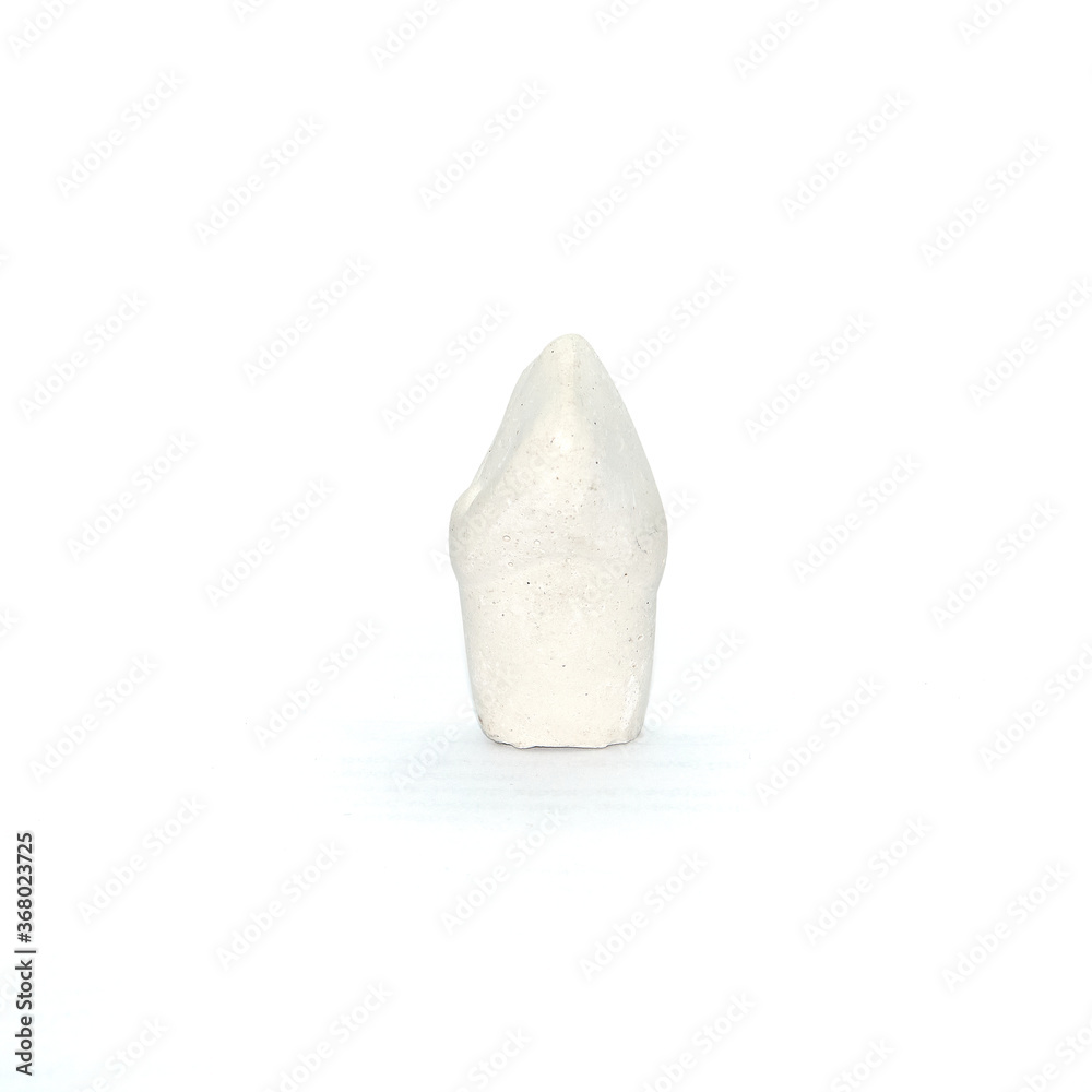 Plaster model of a maxillary canine tooth Plaster model of a maxillary canine tooth