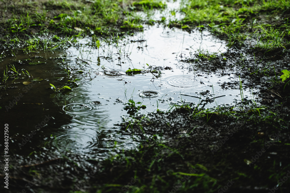 Obraz premium rain drops on the water puddle