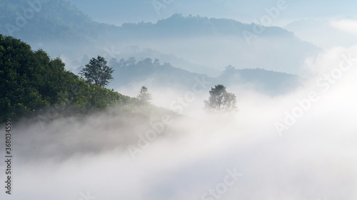 Panorama view of amazing mist moving over the nature mountains during sunrise at mountains area in Thailand.