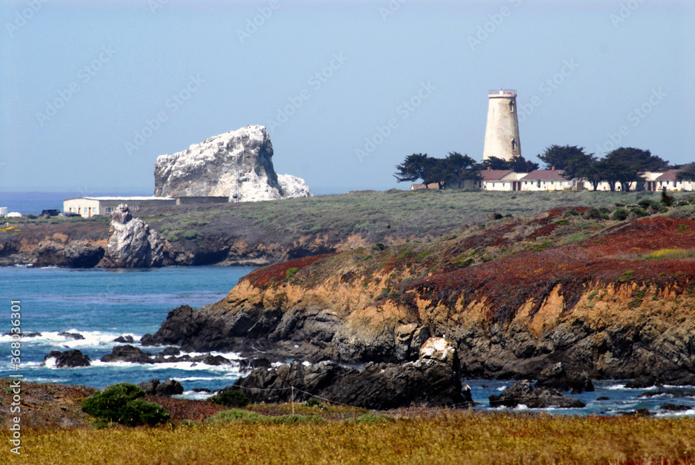 California- Cambria Coastline and Piedras Blancas Lighthouse