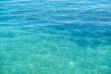 małe rybki morze adriatyckie Chorwacja